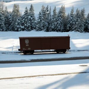 Nn3 Scale Micro-Trains Line MTL EBT East Broad Top 30' Box Car #163
